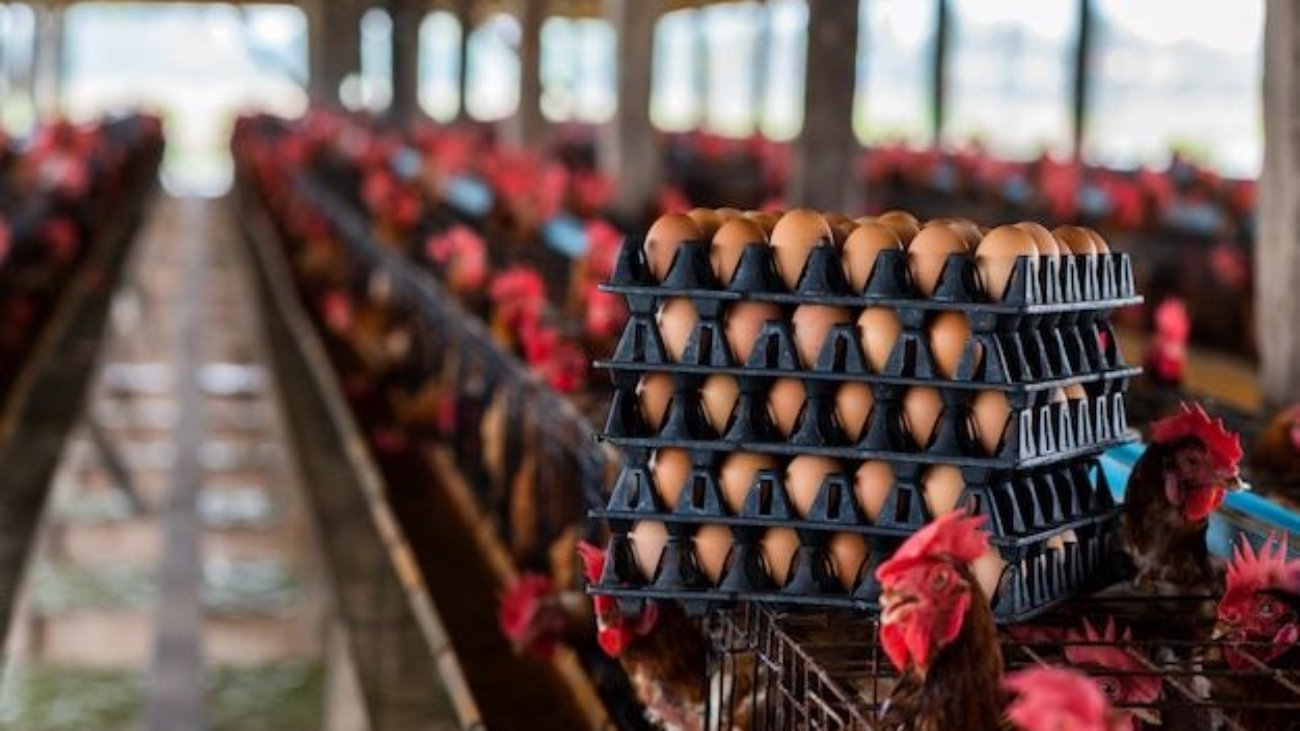 c571dd2c3cfe28ca2c949cd3a6f6f683