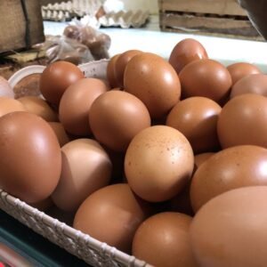 84d98b616d82bfb84a1beecdc7c77224