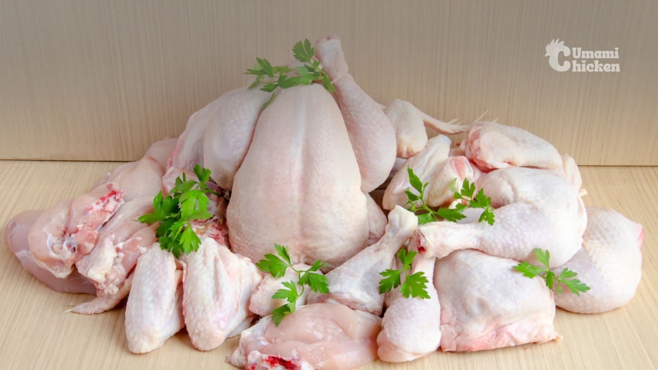 Harga-Ayam-Potong-Hari-Ini-di-Umami-Chicken-Update-Desember-2024-1